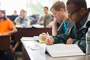 Image of student studying