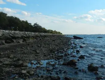 Colt State Park shore scene