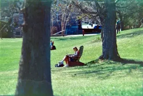 Woman in Adirondack chair under a tree