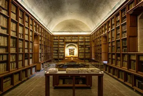 Library shelves