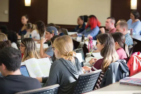 Students sitting in a classroom
