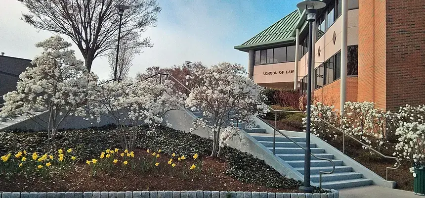 rwu law spring mmb
